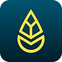 YOYABA