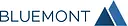 Bluemont Consulting