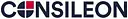 Management- und IT-Beratung