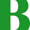 Börsig  Electronic-Distributor