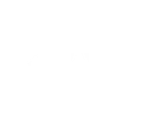 RevolutionRace