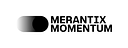 Merantix Momentum